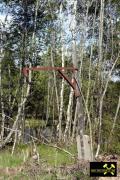 Lehmgruben und Ziegelwerk ZWT Tanna im Vogtland, Thüringen (D) (46) 19. Mai 2005 Abbaugrube Süd.jpg